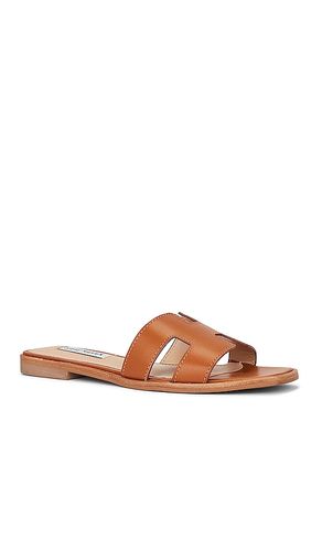 NU-PIED HADYN en . Taille 6. Also en 7, 8.5 - Steve Madden - Modalova