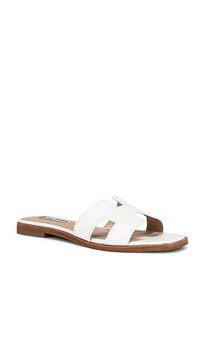 SANDALES HADYN en . Taille 6. Also en 9, 5.5 - Steve Madden - Modalova