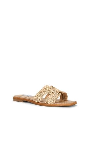 SANDALES HADYN en . Taille 7. Also en 8, 9.5, 11 - Steve Madden - Modalova