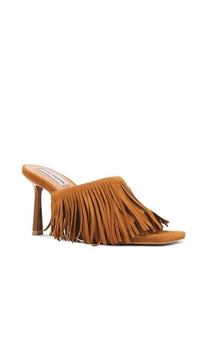 SANDALES MORINA en . Taille 6.5. Also en - Steve Madden - Modalova