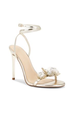 ESCARPINS SHEILA en . Taille 10. Also en 11 - Steve Madden - Modalova