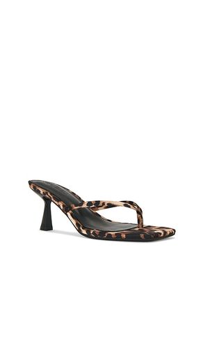 SANDALES ALLIES en . Taille 6.5. Also en 8 - Steve Madden - Modalova