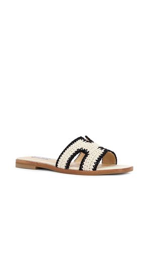 SANDALES HADYN-M en . Taille 6. Also en 10, 11 - Steve Madden - Modalova
