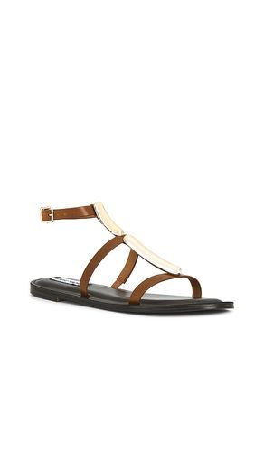 SANDALES ALMA en . Taille 6.5. Also en - Steve Madden - Modalova