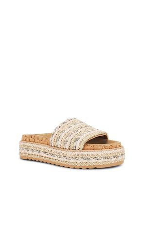 NU-PIED BELLER en . Taille 10. Also en 9.5 - Steve Madden - Modalova