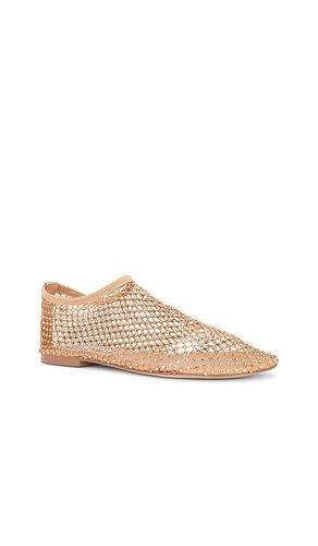 PLAT MINO en . Taille 6. Also en 6.5, 7, 7.5, 8, 8.5, 9, 9.5 - Steve Madden - Modalova