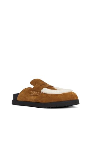 SABOT TOMLIN en . Taille 6. Also en 7, 8 - Steve Madden - Modalova