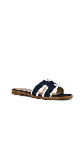 SANDALES HADYN-M en . Taille 6. Also en - Steve Madden - Modalova