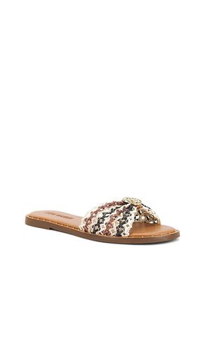 SANDALES DIPSY en . Taille 6. Also en 6.5, 7, 7.5, 8, 8.5, 9, 9.5, 10 - Steve Madden - Modalova