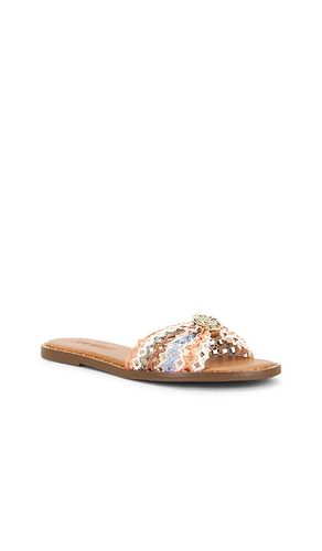 SANDALES DIPSY en . Taille 6. Also en 6.5, 7, 7.5, 8, 8.5, 9, 9.5, 10 - Steve Madden - Modalova