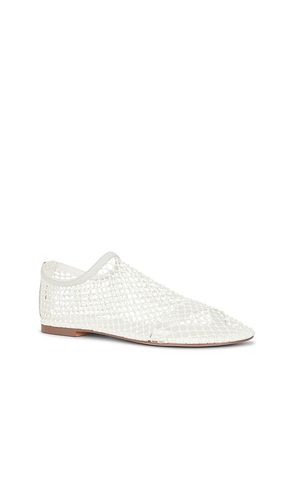 PLAT MINO en . Taille 6. Also en 6.5, 7, 7.5, 8, 8.5, 9, 9.5, 10 - Steve Madden - Modalova