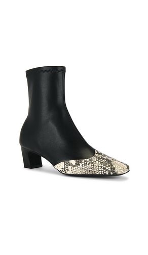 BOTTINES JETER-A en . Taille 6. Also en 6.5, 7, 7.5, 8, 8.5, 9 - Steve Madden - Modalova