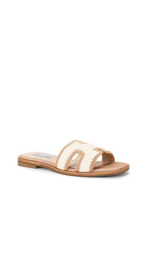 SANDALES HADYN-M en . Taille 10. Also en 5.5, 6, 6.5, 7, 7.5, 8 - Steve Madden - Modalova