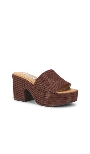 SANDALES TRIPPY en . Taille 6. Also en 7.5, 8, 8.5, 9, 9.5 - Steve Madden - Modalova