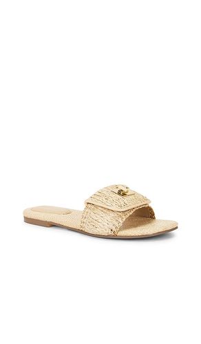 SANDALES MORELAND-R en . Taille 6. Also en 9, 9.5 - Steve Madden - Modalova