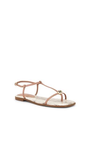 SANDALES RITZY en . Taille 10. Also en 6, 6.5, 7, 7.5, 8, 8.5, 9, 9.5 - Steve Madden - Modalova