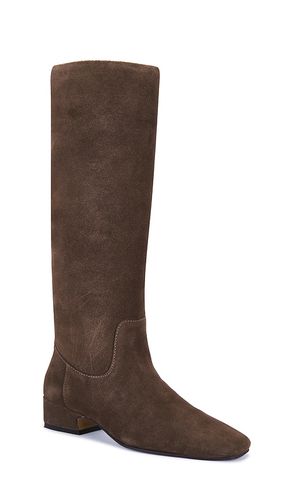 BOTTINES DANTELLE en . Taille 6. Also en 6.5, 7.5 - Steve Madden - Modalova