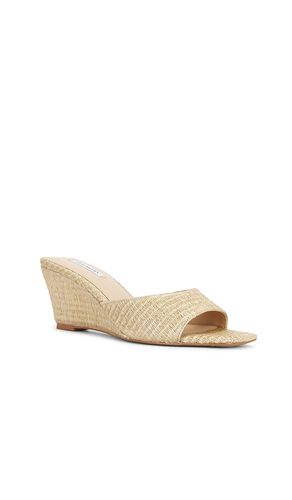 SANDALES SELESTE en . Taille 6. Also en 7.5, 8.5, 9.5, 10 - Steve Madden - Modalova