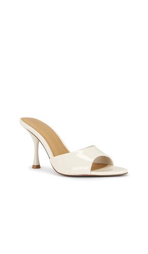 SANDALES SANTI en . Taille 6. Also en 6.5, 8, 8.5, 9, 9.5, 10, 11 - Steve Madden - Modalova