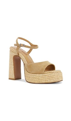 SANDALES LIANDRA en . Taille 9. Also en 10 - Steve Madden - Modalova