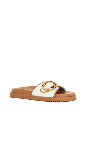 Mandie Slides en . Taille 6. Also en 9.5 - Steve Madden - Modalova