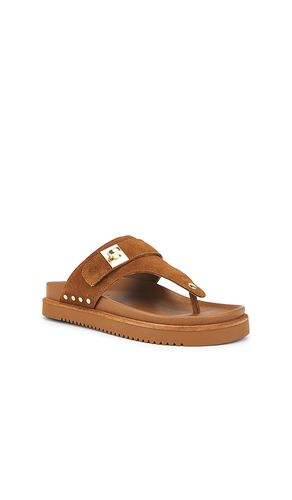SANDALES THONA en . Taille 6. Also en 8.5 - Steve Madden - Modalova