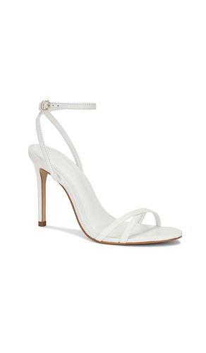 SANDALES JYPSEY en . Taille 8.5. Also en 9.5, 10 - Steve Madden - Modalova