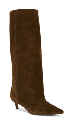 BOTTINES SHAI en . Taille 6. Also en 6.5, 7, 7.5, 8, 8.5, 9, 9.5, 10 - Steve Madden - Modalova