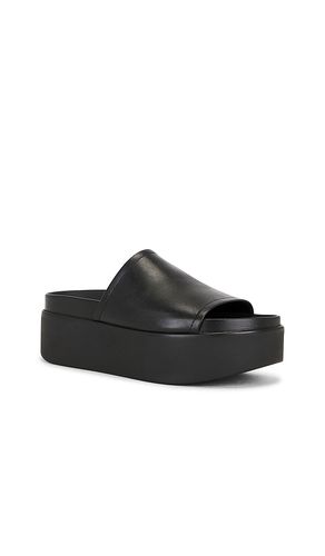 SANDALES ARWEN en . Taille 6. Also en 6.5, 7, 7.5, 8, 8.5, 9, 9.5, 10 - Steve Madden - Modalova