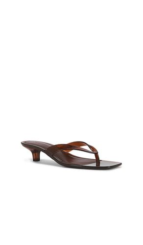 SANDALES TRACIE en . Taille 5. Also en - Steve Madden - Modalova