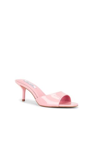 SANDALES KENDRIX en . Taille 6. Also en 6.5, 7.5, 8, 8.5, 9.5 - Steve Madden - Modalova