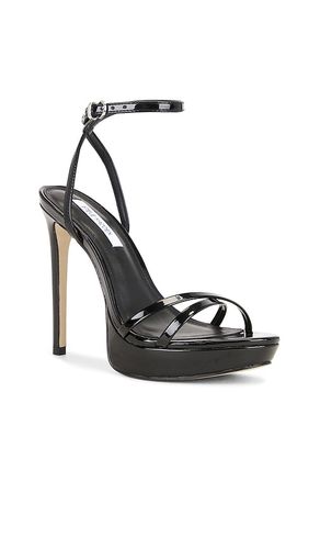 SANDALES JUNI en . Taille 7.5. Also en 8, 8.5, 9, 9.5 - Steve Madden - Modalova