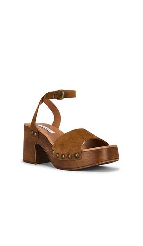 SANDALES KARSIN en . Taille 6. Also en 7, 8, 9, 10 - Steve Madden - Modalova