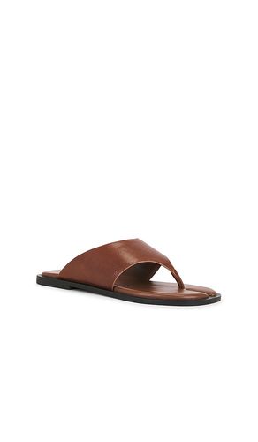 SANDALES ILLIA en . Taille 10. Also en 6, 6.5, 7, 7.5, 8, 8.5, 9, 9.5 - Steve Madden - Modalova
