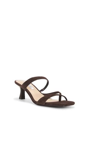 SANDALES AJAY en . Taille 6. Also en 6.5, 7, 7.5, 8, 8.5, 9, 10 - Steve Madden - Modalova