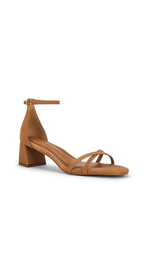 SANDALE À TALON AVEC BRIDE À LA CHEVILLE RAE en . Taille 6. Also en 6.5, 7, 7.5, 8, 8.5, 9, 9.5, 10 - Steve Madden - Modalova