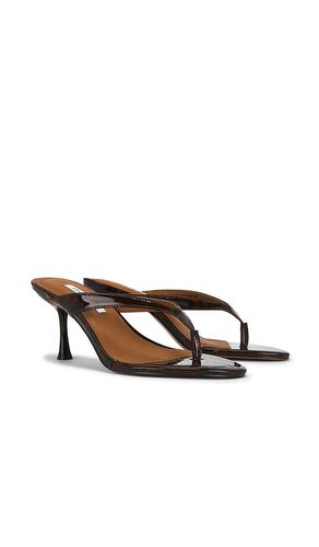 SANDALES FAROH en . Taille 7.5. Also en 9.5 - Steve Madden - Modalova