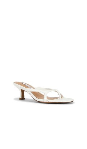 SANDALES BRIENNA en . Taille 5.5. Also en 6, 6.5, 7, 8, 8.5, 9.5 - Steve Madden - Modalova