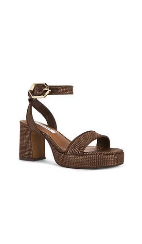 SANDALES ELIDA en . Taille 10. Also en 11, 5.5, 6, 7, 7.5, 8, 8.5, 9, 9.5 - Steve Madden - Modalova