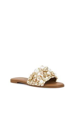 SANDALES KLIO en ,. Taille 6. Also en 6.5, 7, 7.5, 8, 8.5, 9, 9.5 - Steve Madden - Modalova