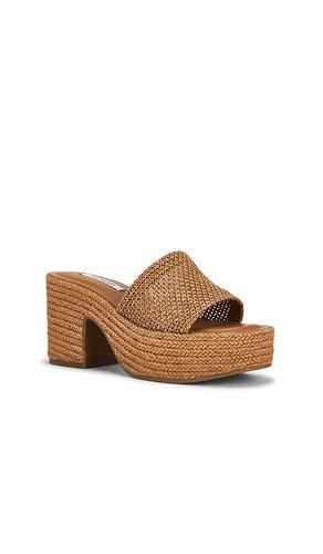 SANDALES COMPENSÉES TRIPPY en . Taille 7. Also en - Steve Madden - Modalova