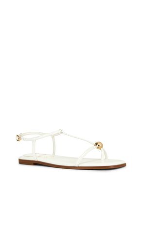 SANDALES RITZY en . Taille 6. Also en 6.5, 7, 7.5, 8, 8.5, 9, 9.5, 10 - Steve Madden - Modalova