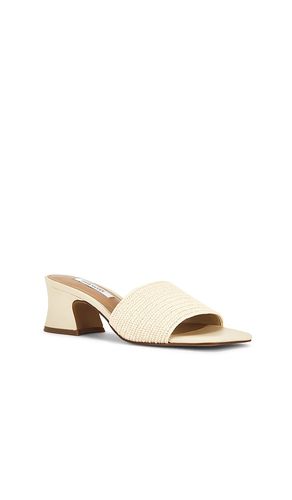 SANDALES FROLIC en . Taille 7. Also en 8, 10 - Steve Madden - Modalova