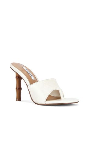 SANDALES À TALONS BRIATA en . Taille 6. Also en 6.5, 7, 7.5, 8, 8.5, 9, 9.5, 10 - Steve Madden - Modalova