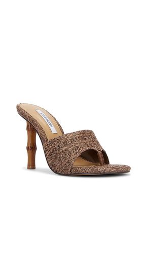 SANDALES À TALONS BRIATA en . Taille 10. Also en 6, 6.5, 7, 7.5, 8, 8.5, 9, 9.5 - Steve Madden - Modalova