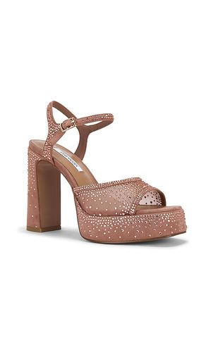 ESCARPINS À PATINS LIANDRA-R en . Taille 6. Also en 6.5, 7, 7.5, 8, 8.5, 9, 9.5, 11 - Steve Madden - Modalova
