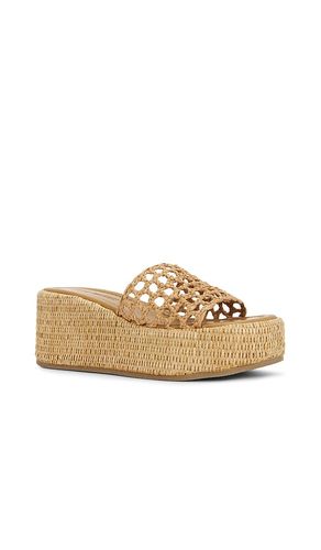 SANDALES BRANDY en . Taille 8.5. Also en 9, 9.5, 10 - Steve Madden - Modalova