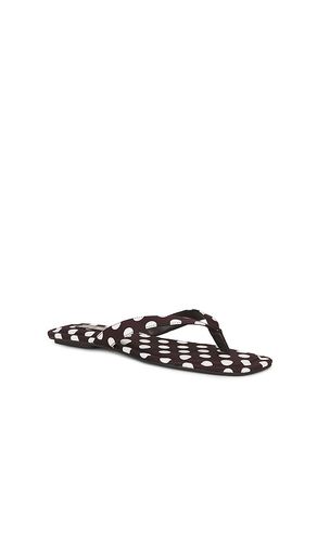 TONGS TRELLA en ,. Taille 10. Also en 6, 6.5, 7, 7.5, 8, 8.5, 9, 9.5 - Steve Madden - Modalova