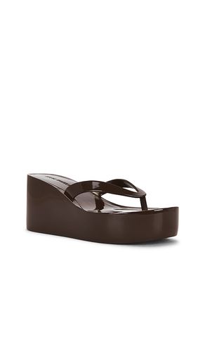 TONGS JELLA en . Taille 8. Also en 9 - Steve Madden - Modalova
