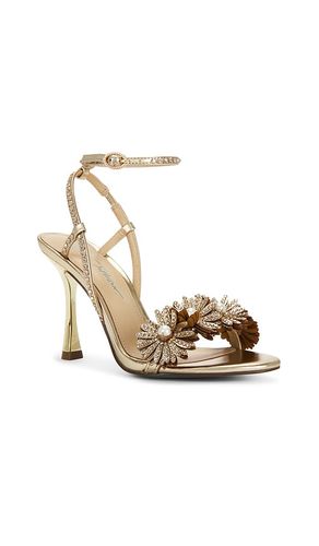 SANDALES MYLEE en . Taille 6. Also en 6.5, 7, 7.5, 8, 8.5, 9, 9.5, 10 - Steve Madden - Modalova